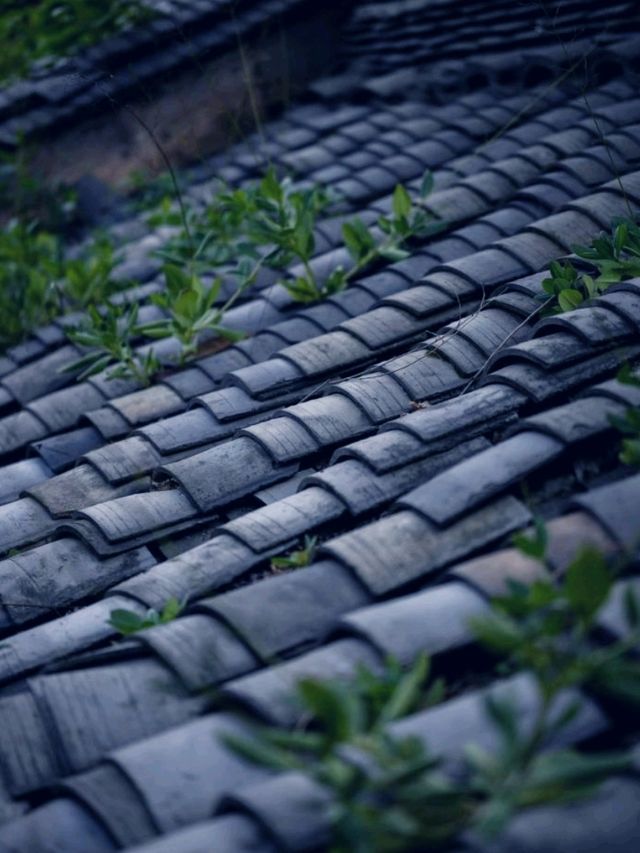Chengdu Kuanzhai Alley