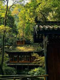 Chill by the Lake in Chengdu