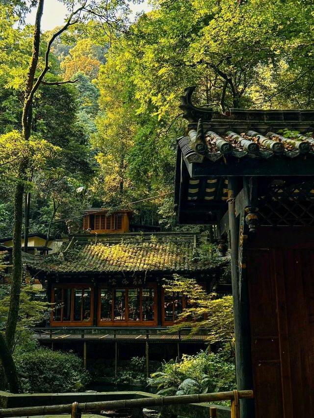 Chill by the Lake in Chengdu