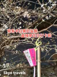 東京中目黑：櫻花樹下的夢幻之夜與繽紛白日