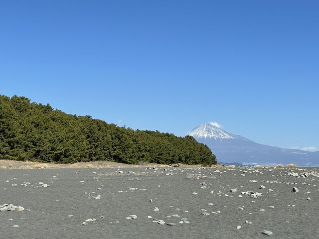 Mark實日本平 三保松原富士山 構圖 