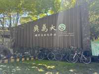 奧萬大國家森林遊樂區
