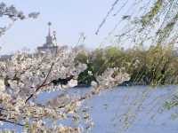 Springtime Splendor at Beijing’s Summer Palace