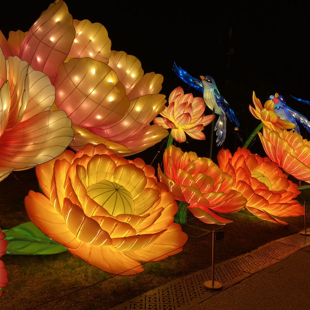 長安燈會亮燿大唐芙蓉園，夢回盛世上元夜！