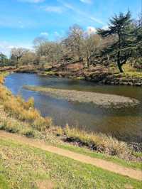 Bradgate Park