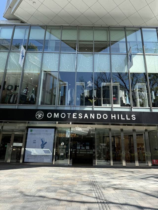 Spring Stroll in Blooming Omotesando🌷