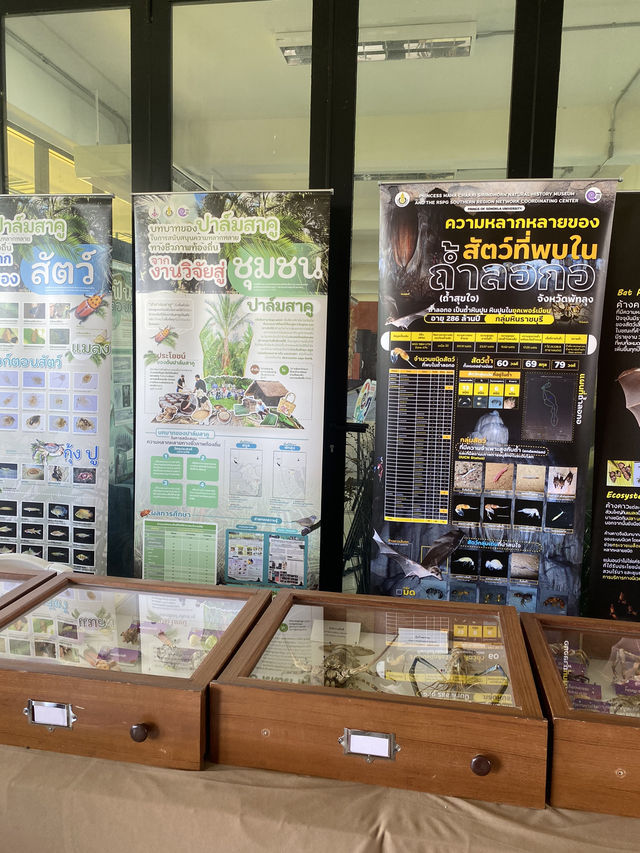 งานเทศกาลซากดึกดำบรรพ ครั้งที่2 จ.พัทลุง 