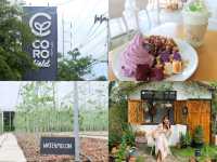 One day trip : ราชบุรี เมืองน่ารัก ใกล้กรุงเทพ🌳