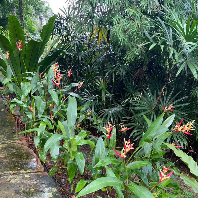 芳林公園·城市綠洲中的童趣