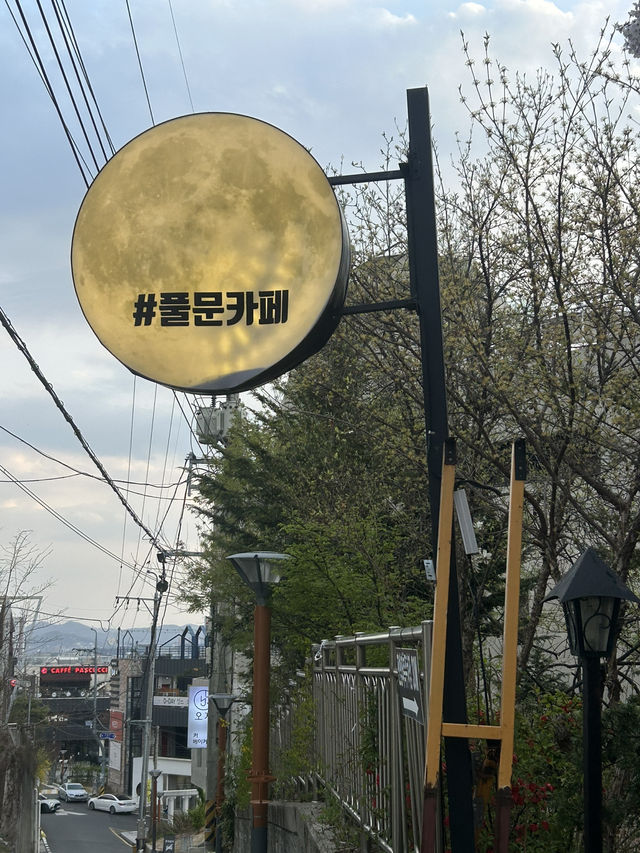 수암골 감성 한가득, 청주 카페 풀문에서 여유 한잔🤍🌸