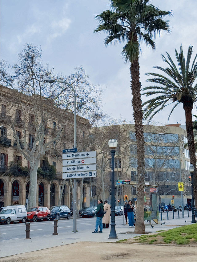 바르셀로나 시우타데야 이런 곳이 있다고?🇪🇸