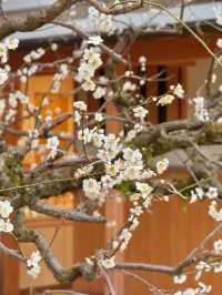 Okayama korakuen