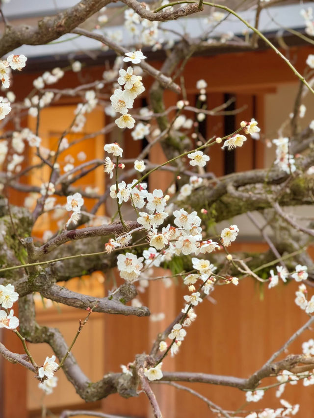 Okayama korakuen
