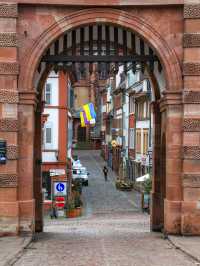【ハイデルベルク🇩🇪】美しい古城が見える絶景スポット🤍
