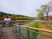 [🇰🇷蔚山] 蔚山大公園で楽しむ春の花見スポット