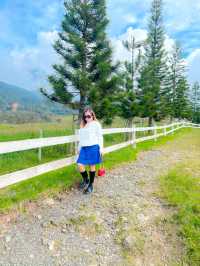 Chillin’ Above the Clouds – Kundasang Vibes!"