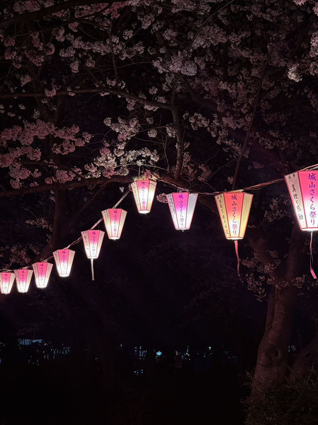 【北九州観光】夜桜と夜景がとても綺麗なスポット