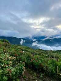 Between Heaven and Earth
