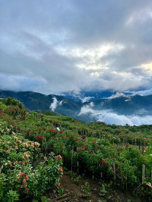 Between Heaven and Earth
