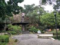 #奧爾森林學堂-桃園市桃園區