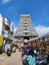 【チェンナイ/インド】一度は見ておきたい寺院🛕カバレーシュヴァラル寺院