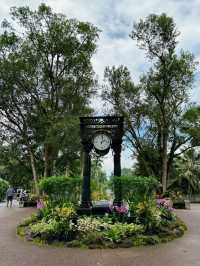 A Gem in the Heart of Singapore: National Orchid Garden