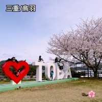 【三重/鳥羽】鳥羽水族館と桜スポットのご紹介🦦🌸
