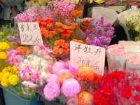 Netherlands Flower town / Dutch Flower town
