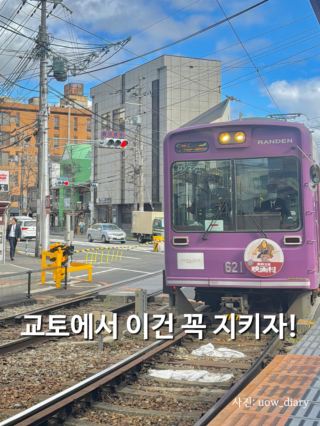 교토에서 이거 안지키면 과태료까지? (교토 여행 주의사항)