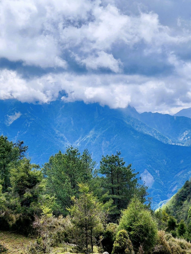 塔塔加的熱門山～麟趾山輕鬆走