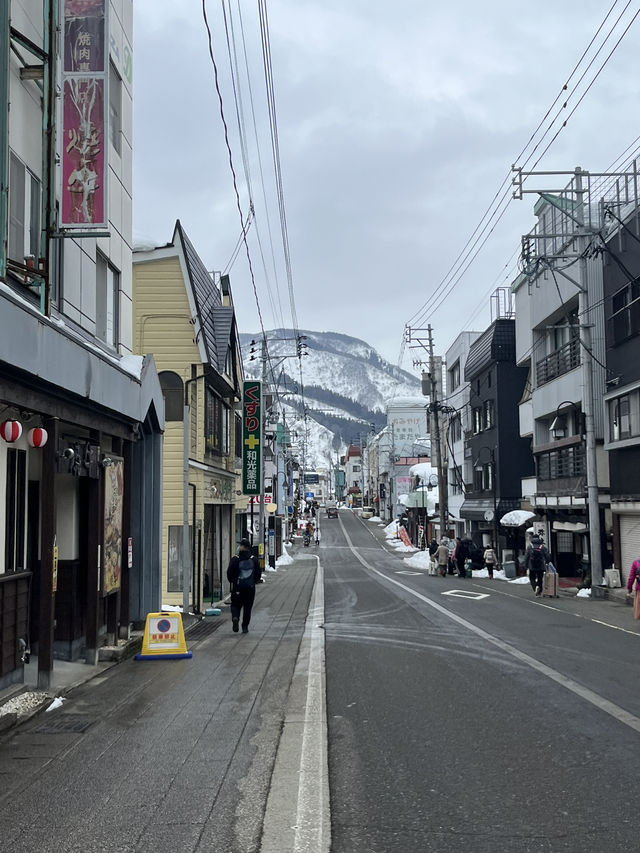 도쿄여행 근교 추천코스, 니가타현 에치고유자와 🌨️