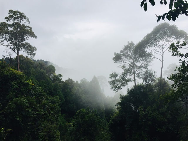 Mount Pulai: Stairway to Heaven (and Legs Screaming 'Why?')🌄😅