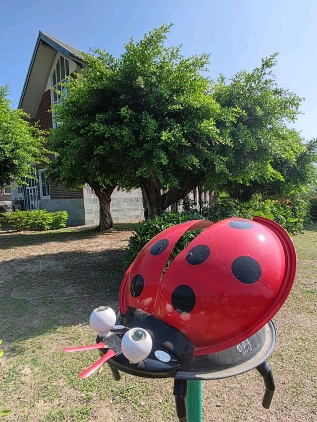 #嘉大昆蟲館-嘉義市東區