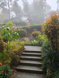 A Hidden Zen Garden in the Clouds — Japanese Village at Genting
