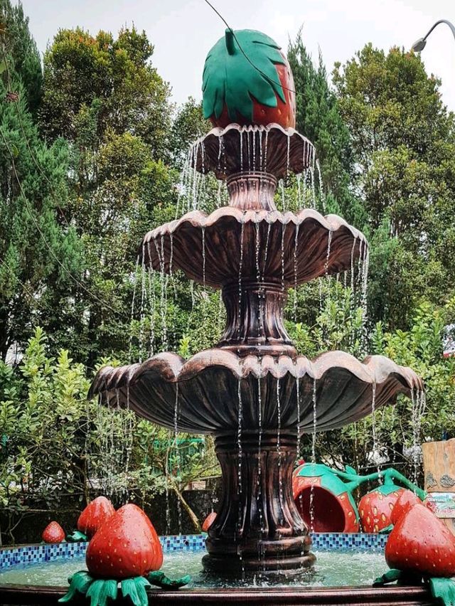 🍓 A Sweet Retreat at Genting Strawberry Leisure Farm!
