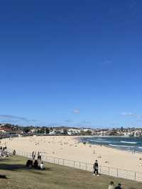 澳洲悉尼Bondi Beac🌊必打卡與大海連成一線的Icebergs Pool
