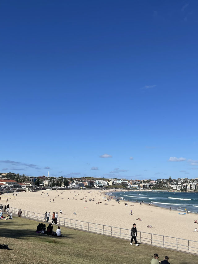 澳洲悉尼Bondi Beac🌊必打卡與大海連成一線的Icebergs Pool