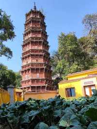 靜謐清幽的寶通禪寺