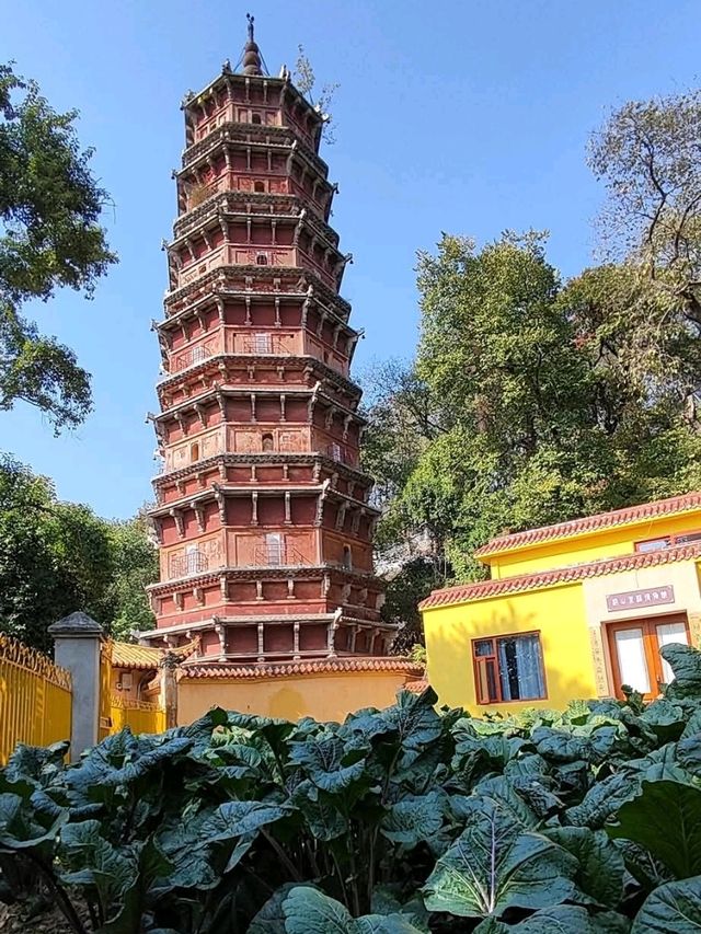 靜謐清幽的寶通禪寺