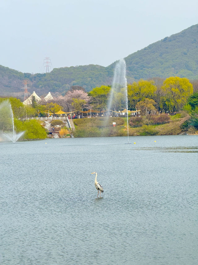 여유로운 산책 가능한 봄여행지