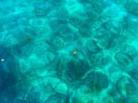 Maldives on a Budget: 7-Day Adventure You’ll Never Forget!