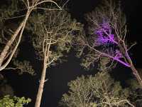 Tall Pines & Fresh Air – Kirirom National Park, Cambodia