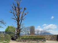 Matsushiro Castle Park, Nagano