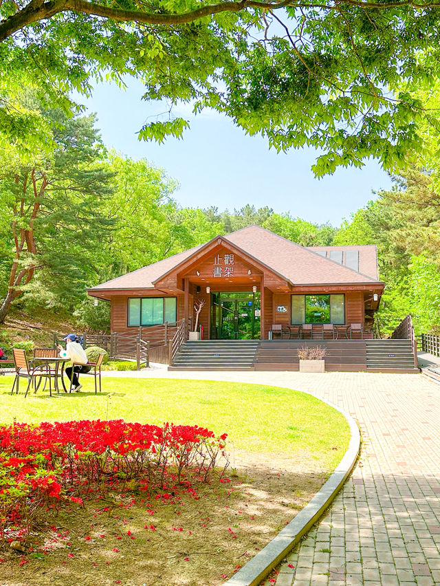 초록숲, 책한권, 아이와 가볼만한 지관서가