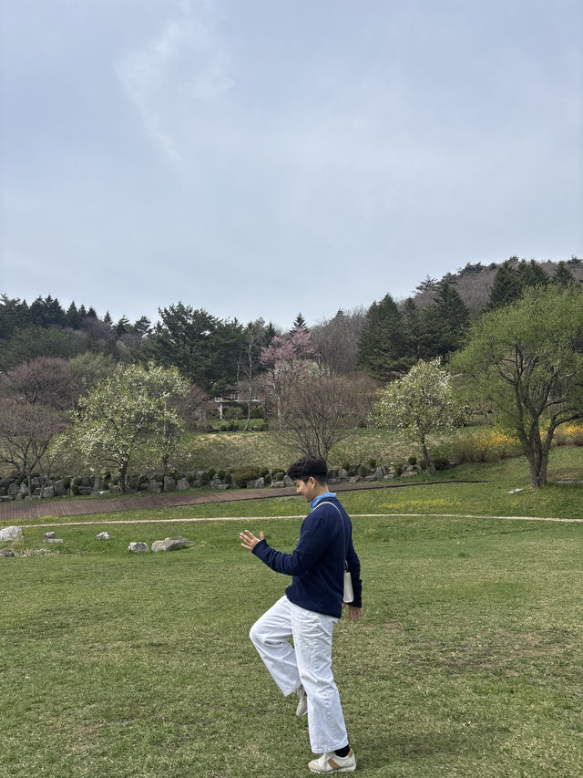  봄에 좋은 예쁜 풍경의 대관령 목장🥰