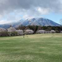 A Spring Day at Koiwai Farm