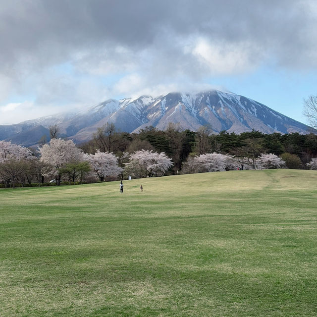 A Spring Day at Koiwai Farm