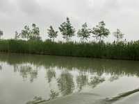 與西湖齊名的西溪國家濕地公園