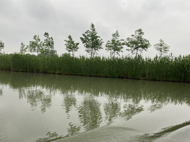與西湖齊名的西溪國家濕地公園