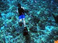 🪸10년 전 보홀 바다의 모습을 그대로 간직한 숨겨진 스팟🐠